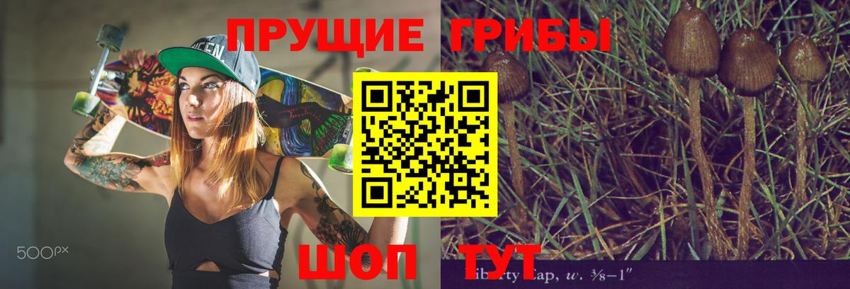 Красный Сулин  Галлюциногенные грибы Psilocybine cubensis  купить наркотик  Вход с VPN 
